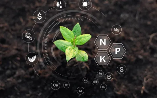 Контроль соотношения NPK