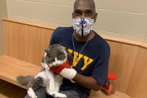Мужчина пришёл в приют за новым питомцем — и встретил своего пропавшего кота