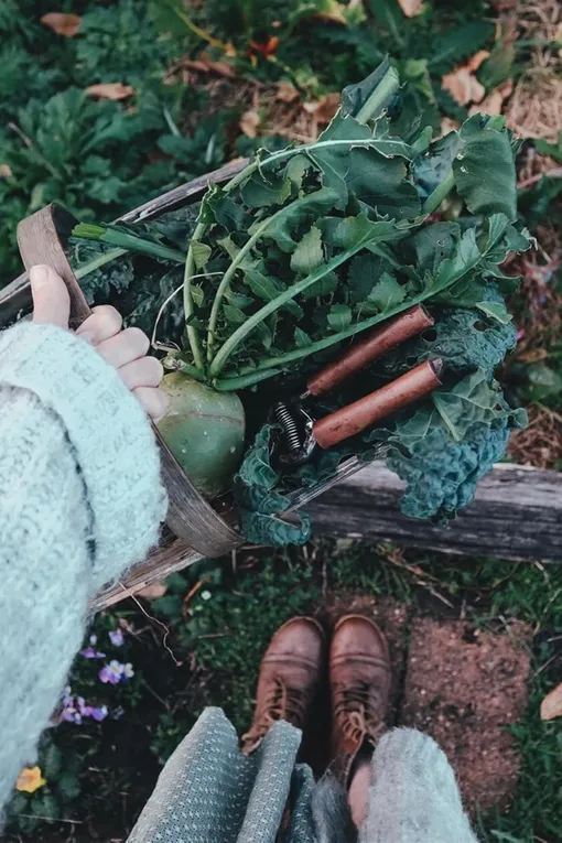 Работы в саду и огороде: 6–12 октября по лунному календарю. Работы в саду и огороде: 6–12 октября по лунному календарю.