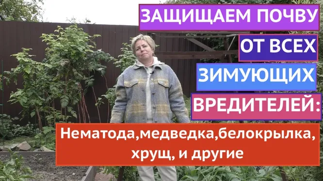 Нажми и смотри