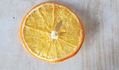 Высушить в духовке при 100 градусах в течение 2 часов.