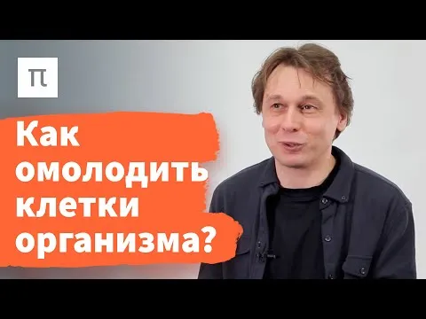 Нажми и смотри