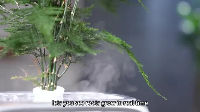 Нажми и смотри