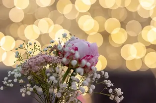 Как выглядит россиянка Дарья Бочарова, ставшая вице-мисс Glam world