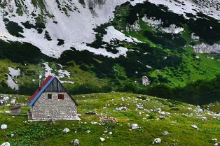 Добрый миллионер помог 81-летнему отшельнику, который лишился дома из-за пожара Добрый миллионер помог 81-летнему отшельнику, который лишился дома из-за пожара