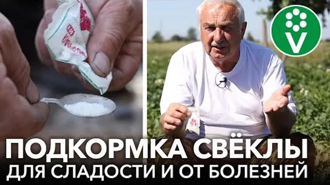 Нажми и смотри