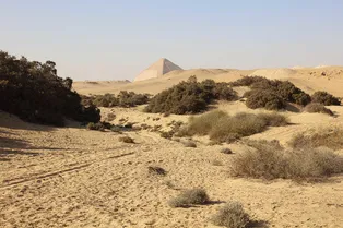 Вспышку неизвестного заболевания зафиксировали у россиян, вернувшихся из Египта