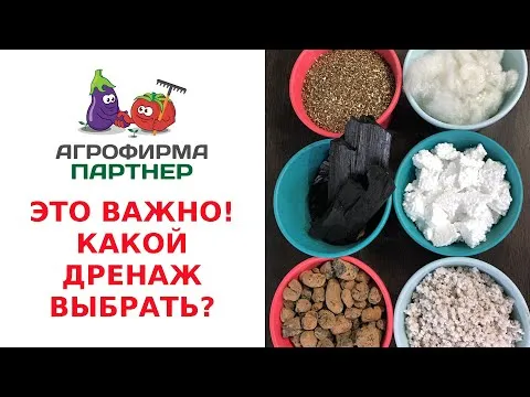 Нажми и смотри