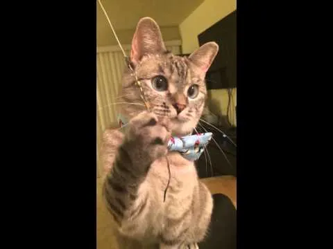 Нажми и смотри Нажми и смотри