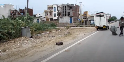 спасение собаки