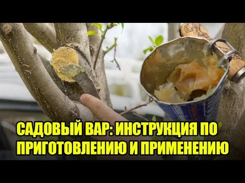 Нажми и смотри