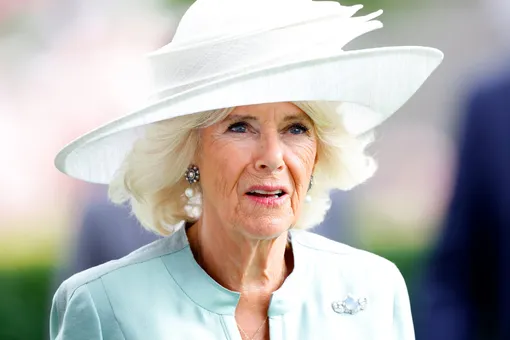 Не скрывая чувств: королева Камилла грубо нарушила протокол на публике Не скрывая чувств: королева Камилла грубо нарушила протокол на публике