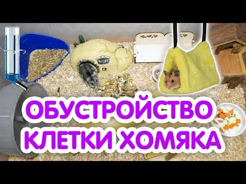 Нажми и смотри