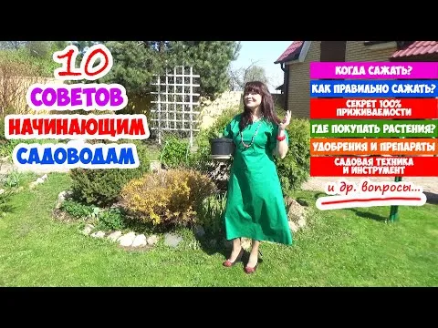 Нажми и смотри