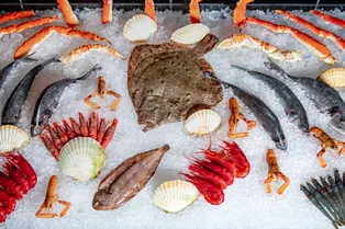 В Стамбуле открылся ресторан «Сахалин»