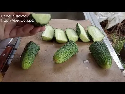 Нажми и смотри