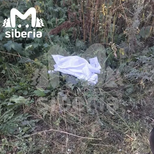 киселевск изнасиловал и убил