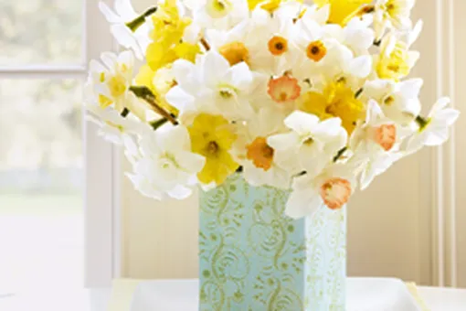 Весенний натюрморт Весенний натюрморт