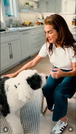 Актриса продемонстрировала в соцсетях интерьеры своей кухни и любимого питомца кухня брук шилдс