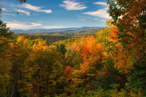 Россиянам пообещали Старое бабье лето: когда его ждать