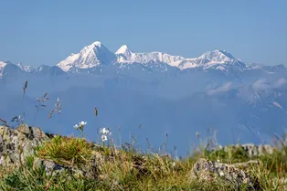 Алтай: территория-загадка. Как поездка на Горный Алтай может превратиться в кругосветное путешествие