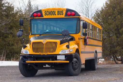 «Не стал ждать пенсии»: мужчина превратил старый школьный автобус в уютный дом «Не стал ждать пенсии»: мужчина превратил старый школьный автобус в уютный дом