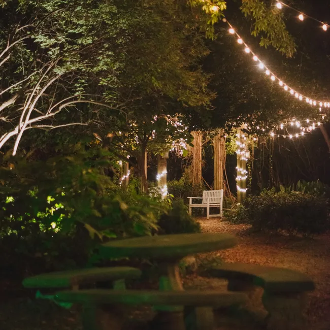 Лунный сад: какие растения украсят участок в тёмное время суток?