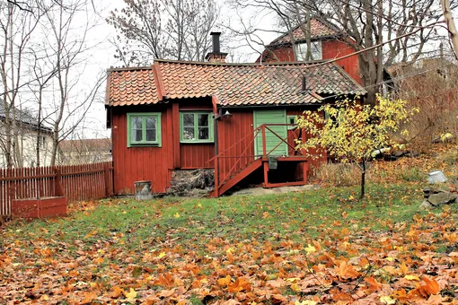 10 дел в ноябре, которые 90% дачников игнорируют — а потом плачут весной