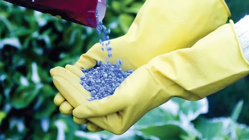 Удобрения и пестициды