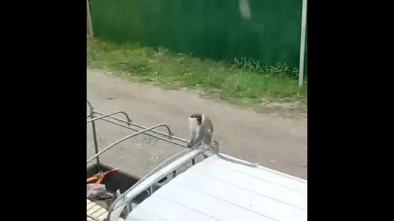 Нажми и смотри