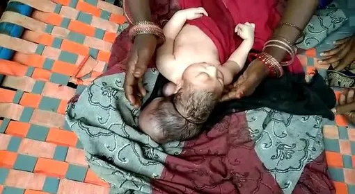 трехголовый трехголовый