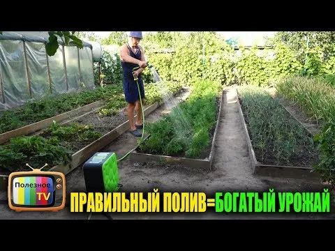 Нажми и смотри