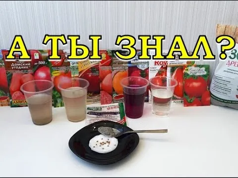 Нажми и смотри Нажми и смотри