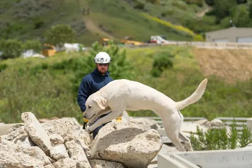 Кэм на тренировке