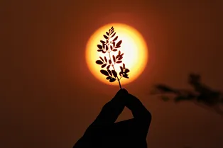 Хочу, но боюсь. Карьерный коуч — о том, как найти мотивацию для изменений в жизни в любом возрасте