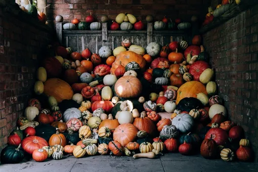 Как подсушить сырой подвал быстро и без ремонта: помогут народные методы Как подсушить сырой подвал быстро и без ремонта: помогут народные методы