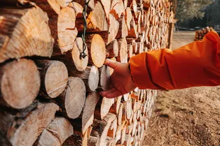 Простая дровница своими руками на даче за 5 минут