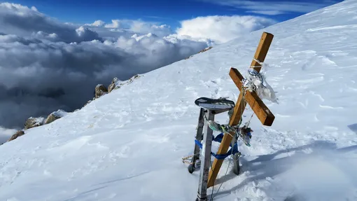 наталья наговицына