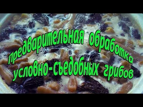 Нажми и смотри