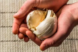 Посадите этот чеснок осенью — весь год будете с урожаем