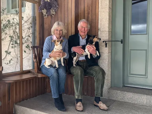 Бет и Блубелл — собаки короля Карла III и его супруги Камиллы Бет и Блубелл — собаки короля Карла III и его супруги Камиллы