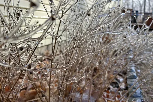 «Температурные качели» и ледяной ад: россиян предупредили об аномальной зиме сезона 2025–2026