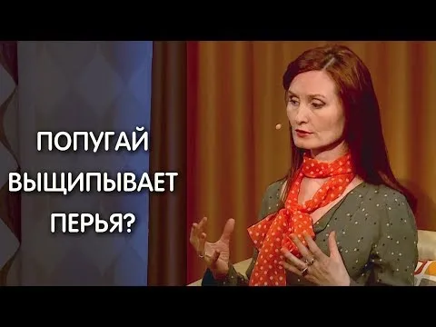 Нажми и смотри