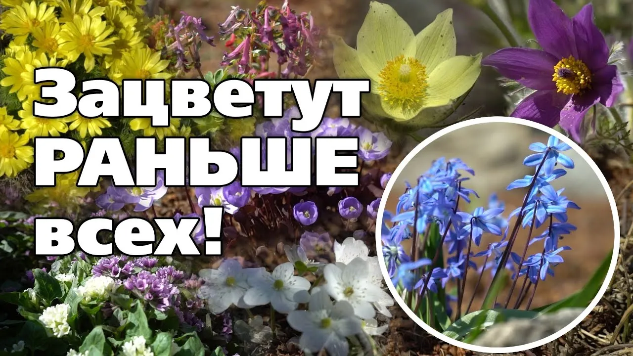 Нажми и смотри Нажми и смотри
