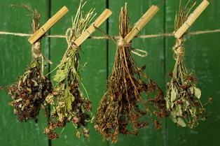 Скорая помощь почкам Скорая помощь почкам