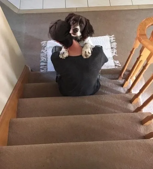 пес обнимается со своим человеком пес обнимается со своим человеком