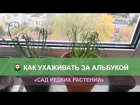 Нажми и смотри