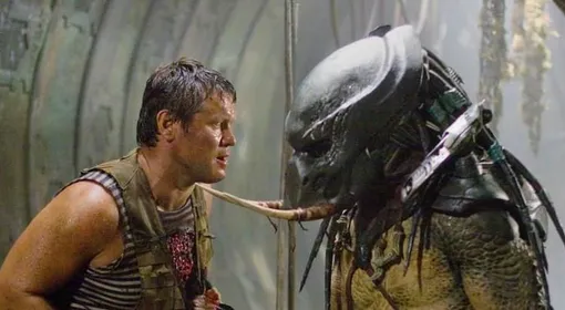 фото из открытых источников фото из открытых источников фото