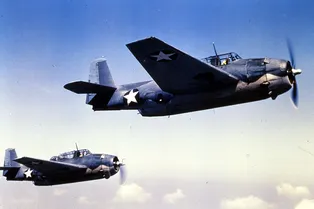 Самолет времен Второй мировой совершил жесткую посадку на пляже Флориды (видео)