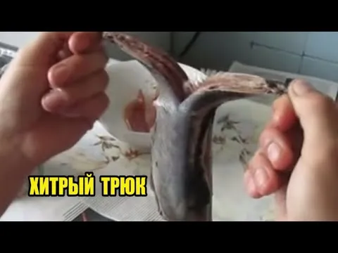 Нажми и смотри